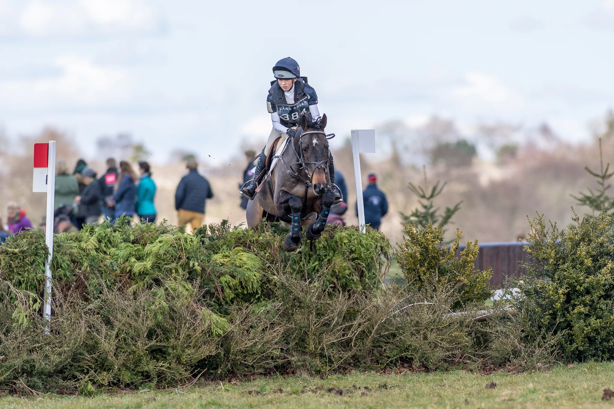 Carey_March 25, 2018_DSC_1301-2.JPG