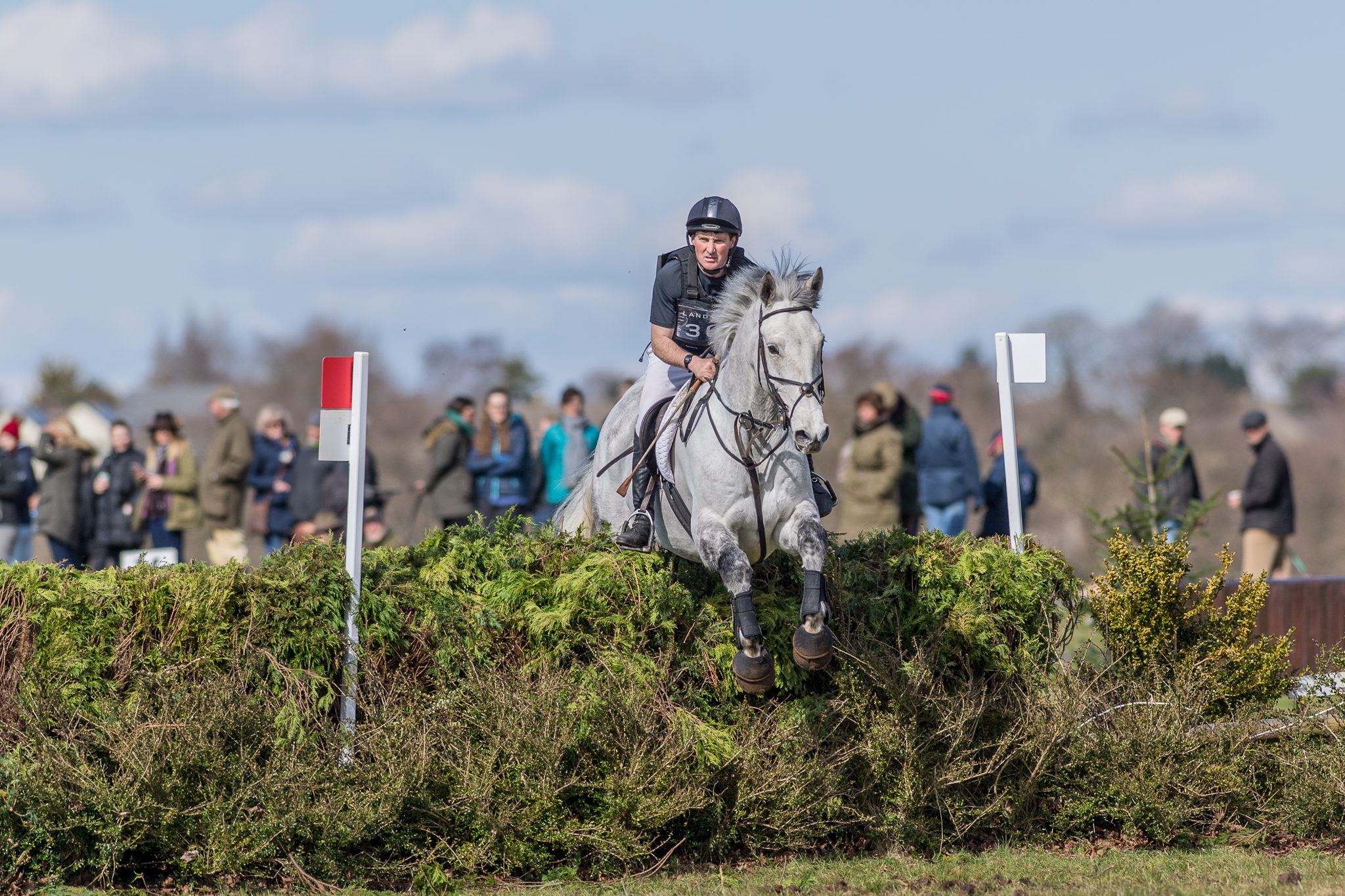 Carey_March 25, 2018_DSC_1313.JPG