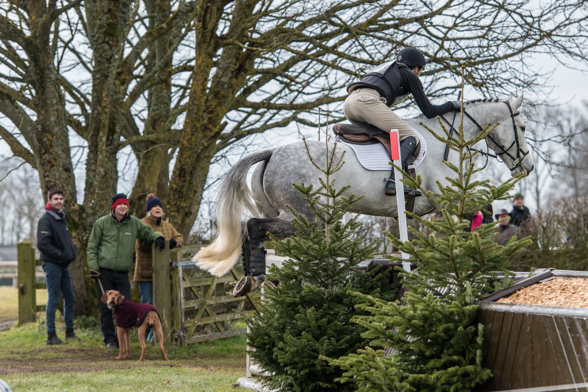 Carey_March 25, 2018_DSC_7261.JPG