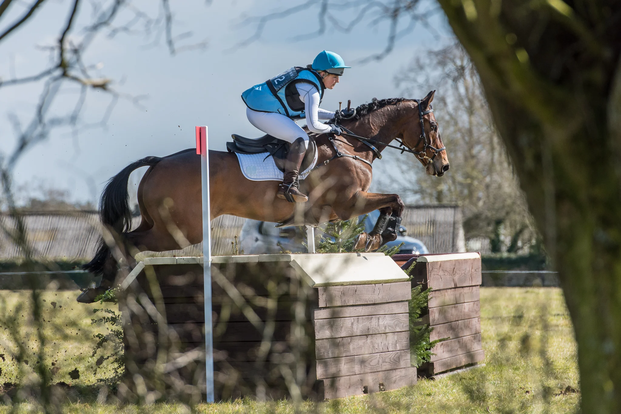 Carey_March 25, 2018_DSC_7435.JPG