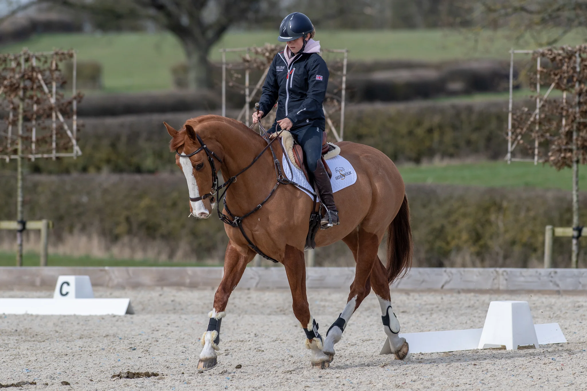 Carey_April 06, 2018_DSC_1726.JPG