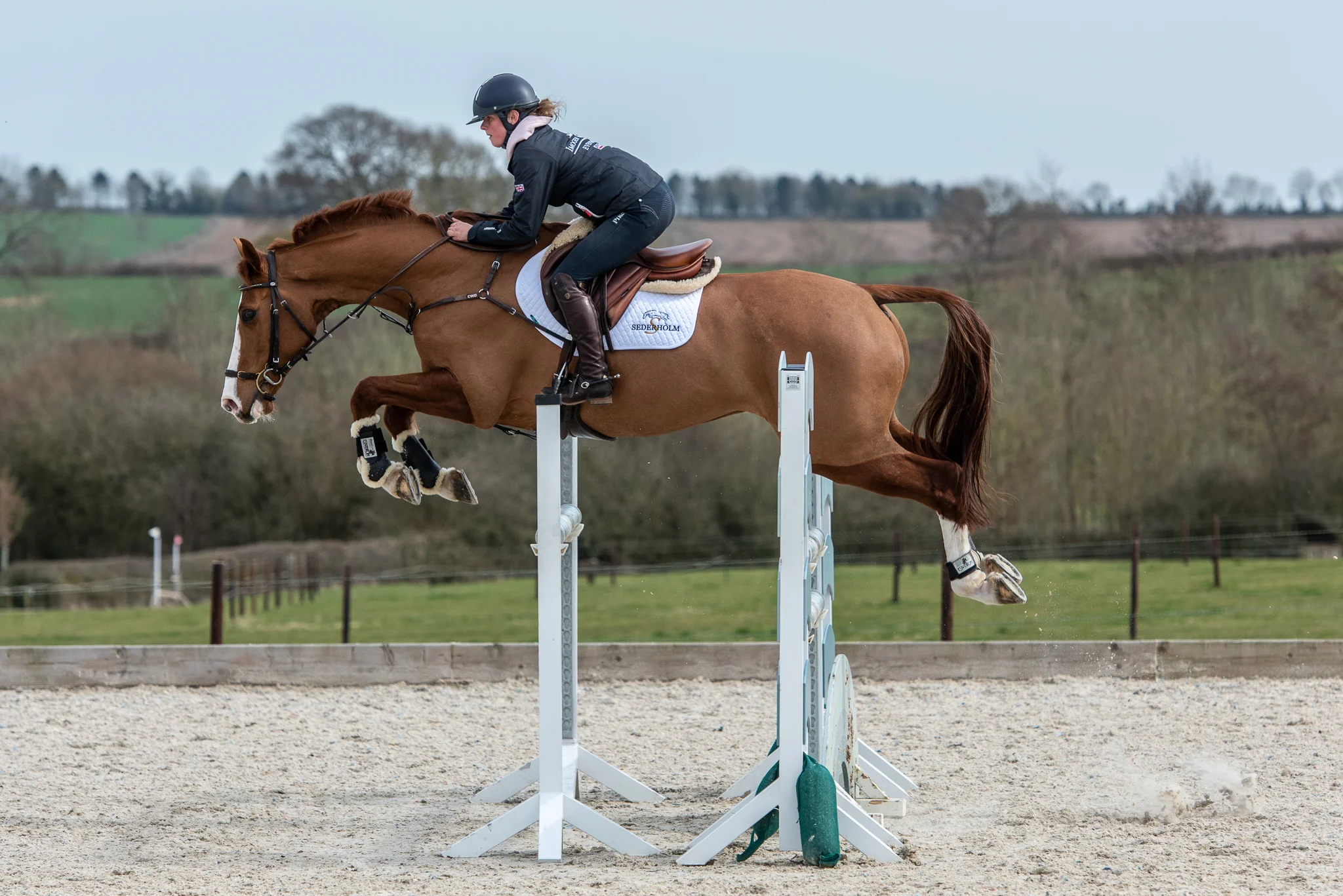 Carey_April 06, 2018_DSC_7734.JPG