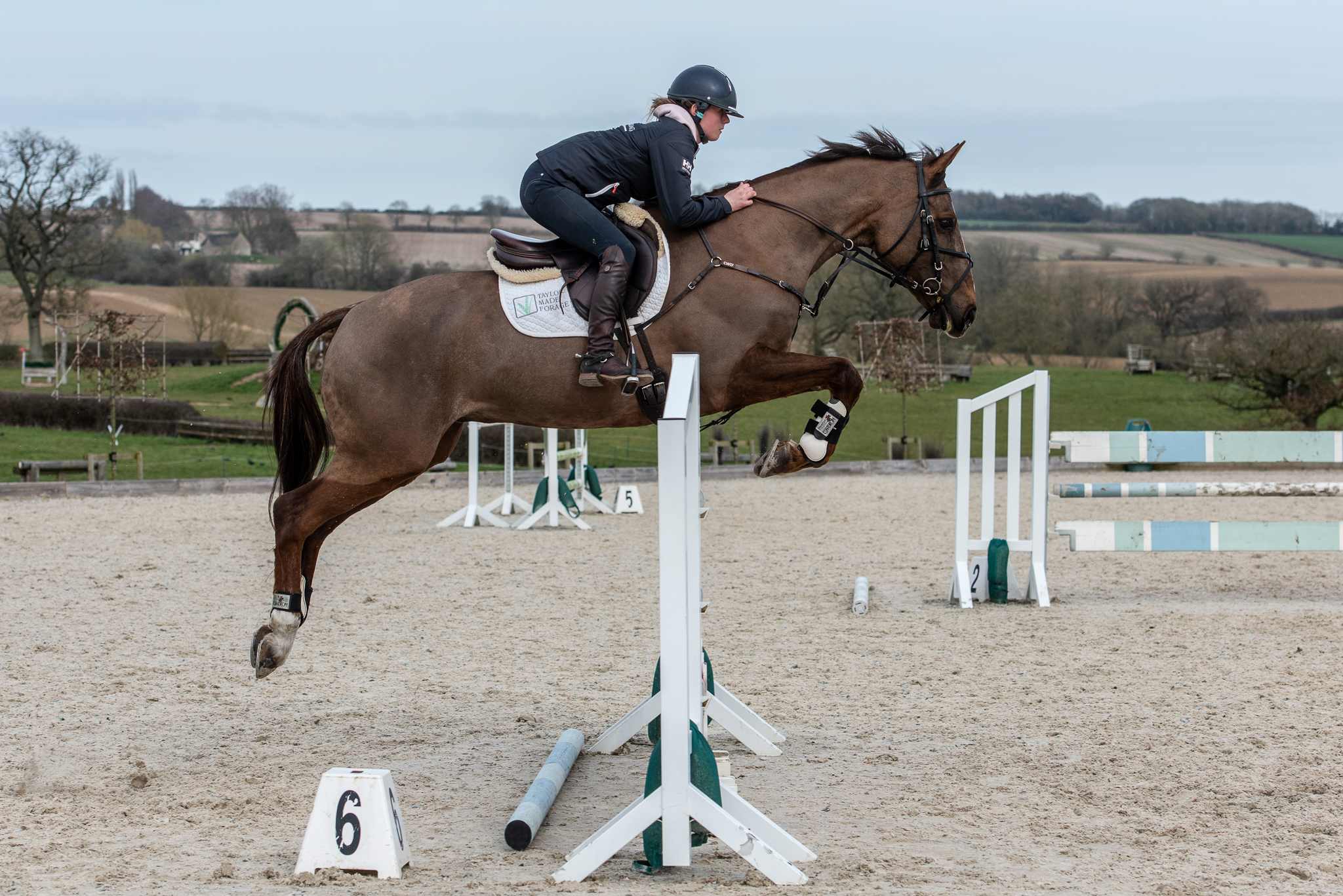 Carey_April 06, 2018_DSC_7820.JPG