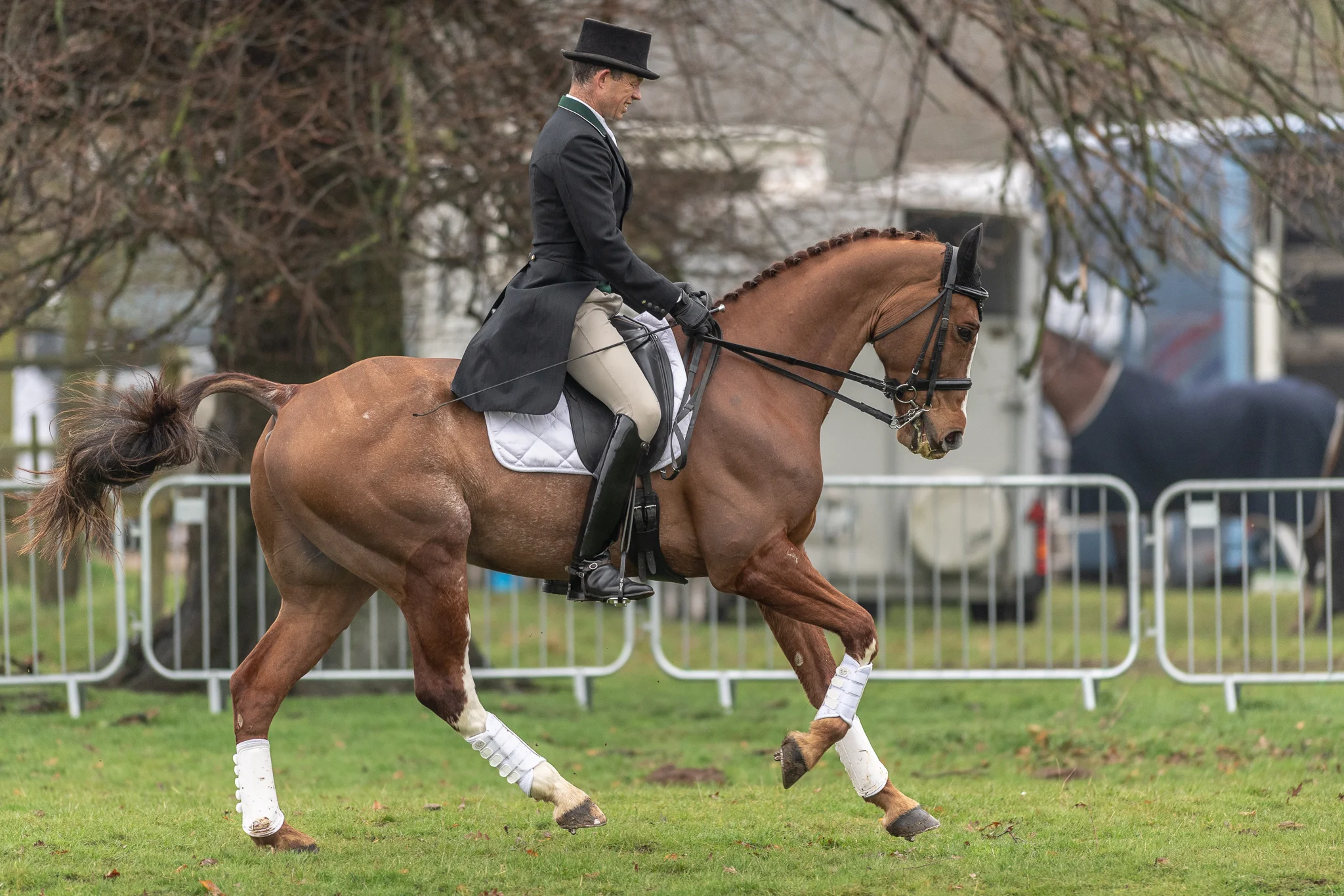 Carey_April 13, 2018_DSC_4328.JPG