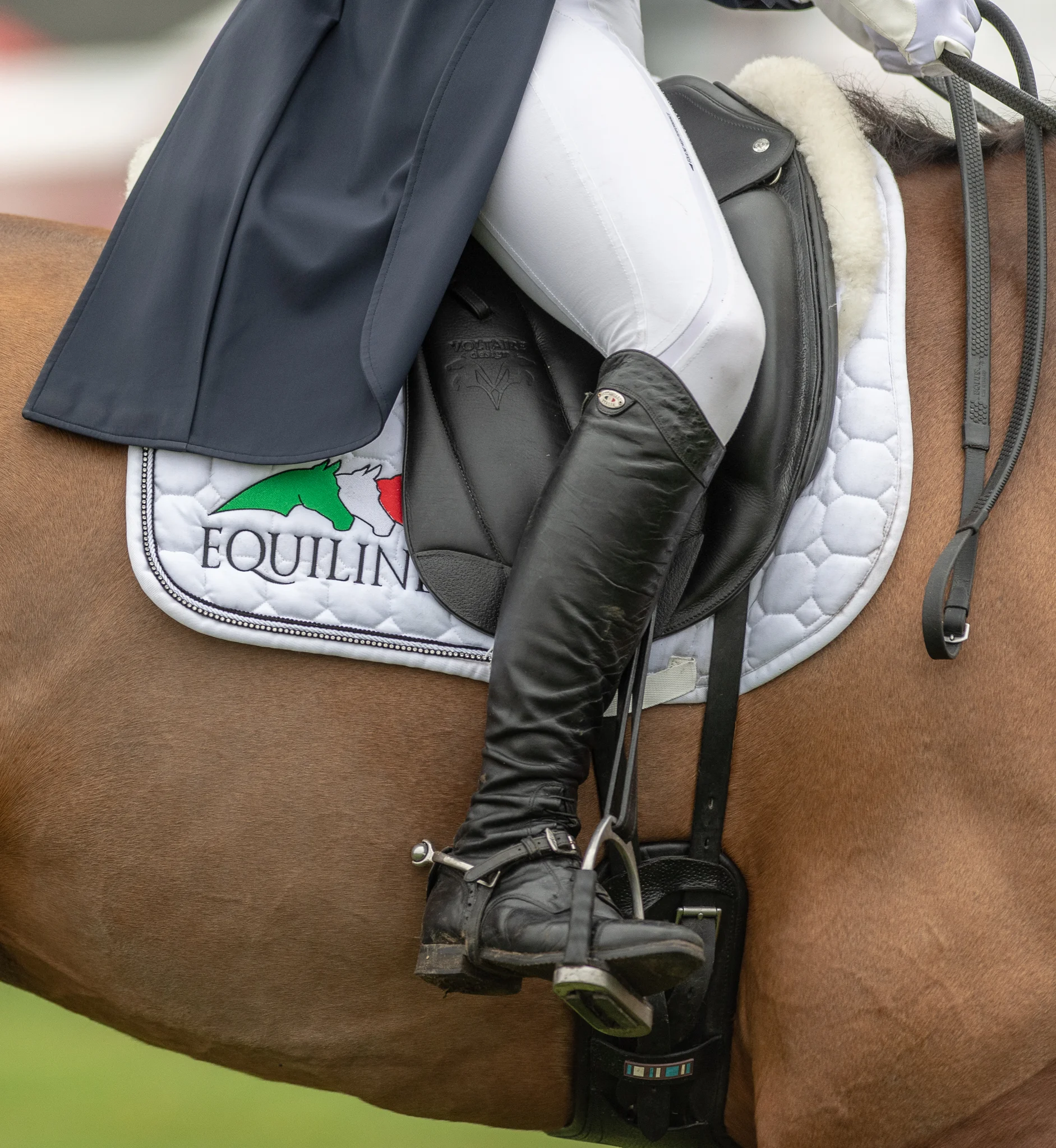 Carey_April 13, 2018_DSC_4354.JPG