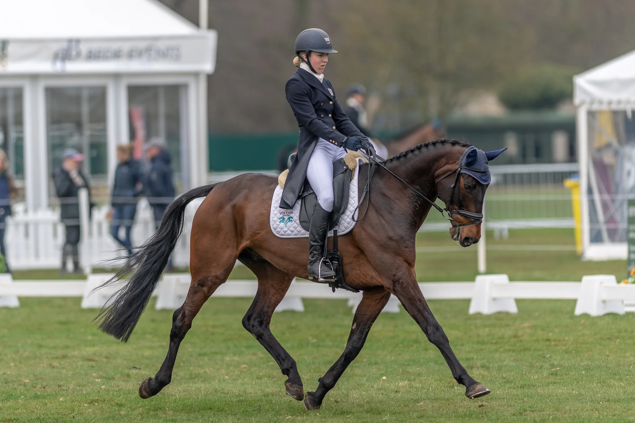 Carey_April 13, 2018_DSC_4992.JPG