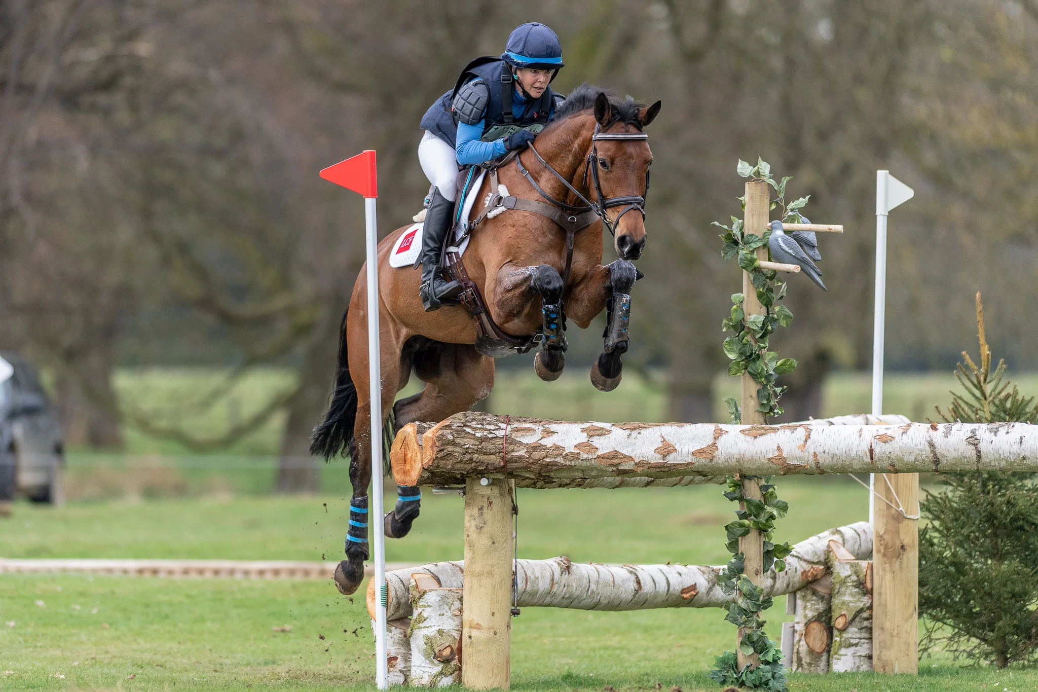 Carey_April 13, 2018_DSC_5908.JPG