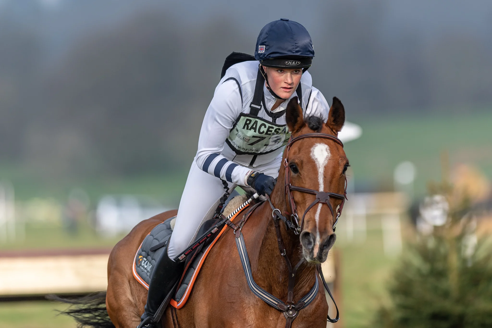 Carey_April 13, 2018_DSC_6564.JPG