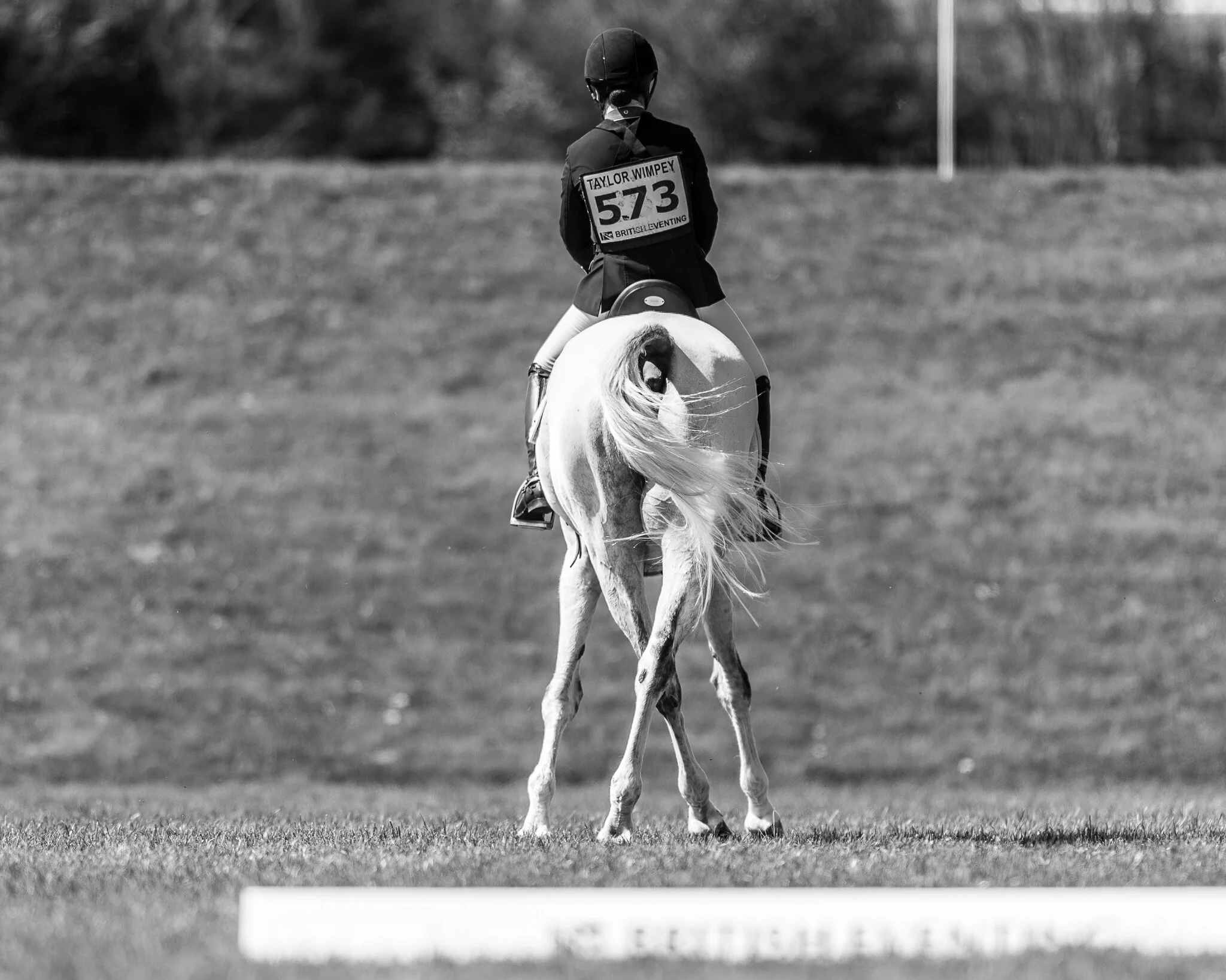 Carey_April 20, 2018_DSC_9053.JPG