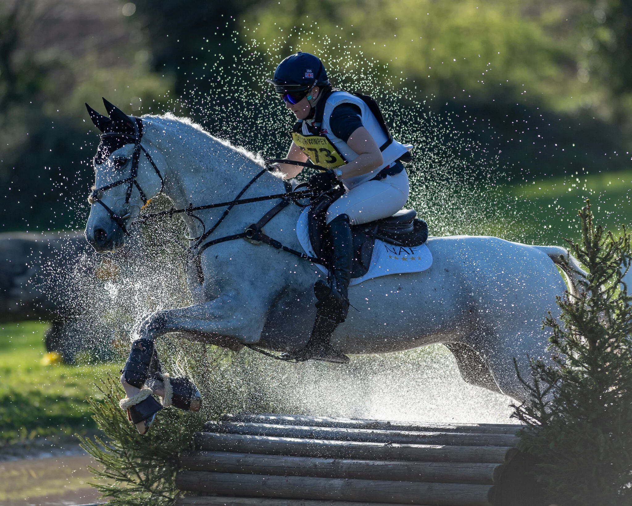 Carey_April 20, 2018_DSC_1746.JPG