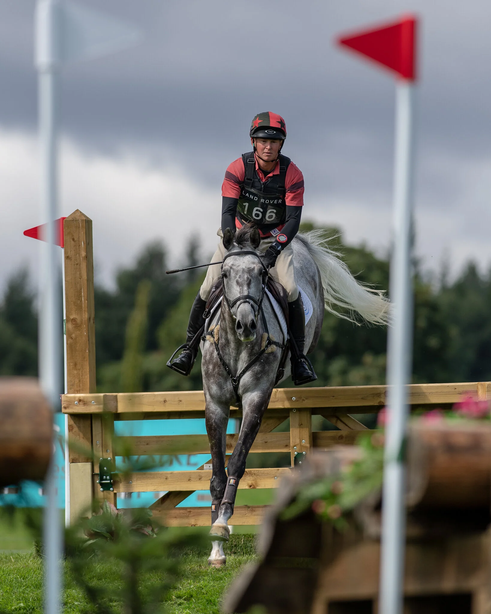 Carey_August 25, 2018_DSC_6650.JPG