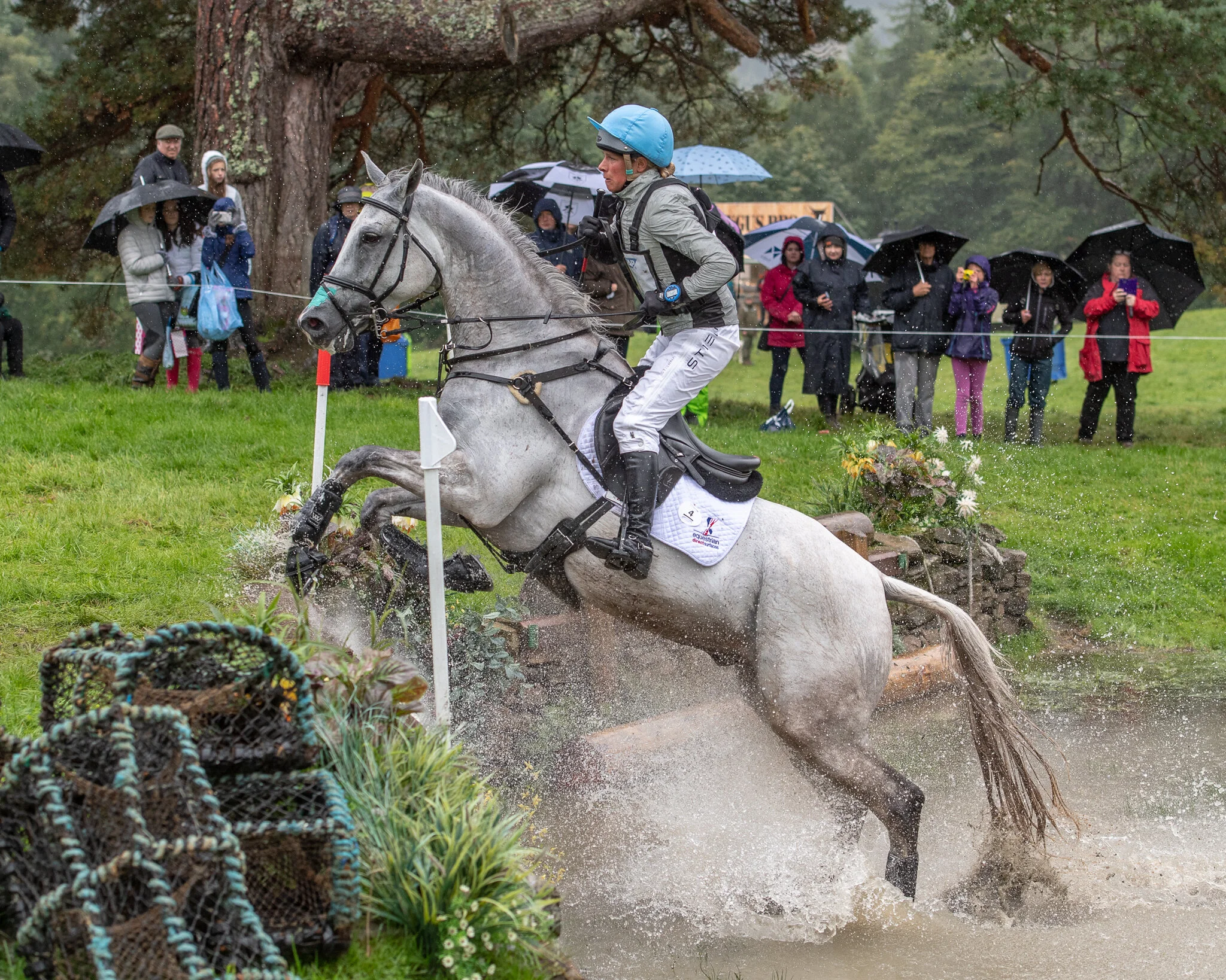 Carey_August 26, 2018_DSC_5219.JPG