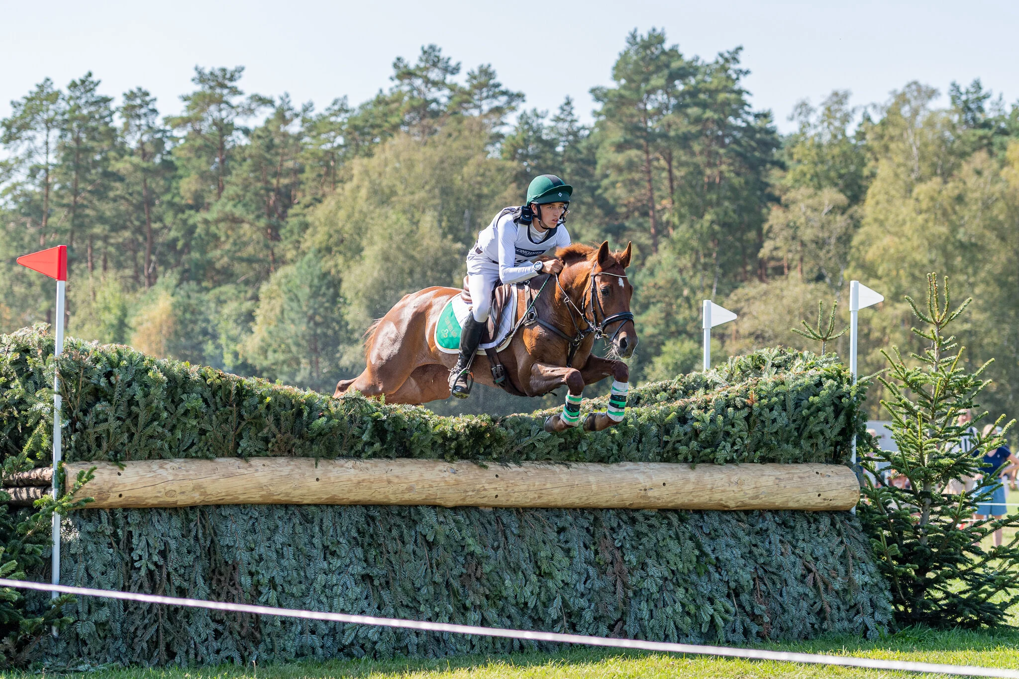 Carey_August 31, 2019_DSC_3783A.JPG