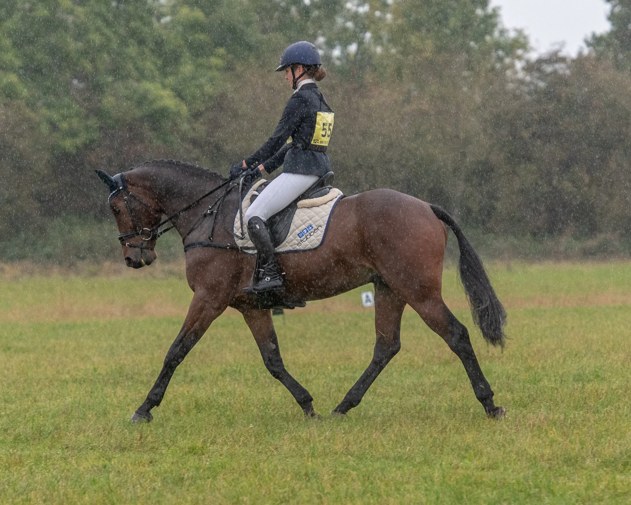 Carey_October 06, 2018_DSC_1309-2.JPG