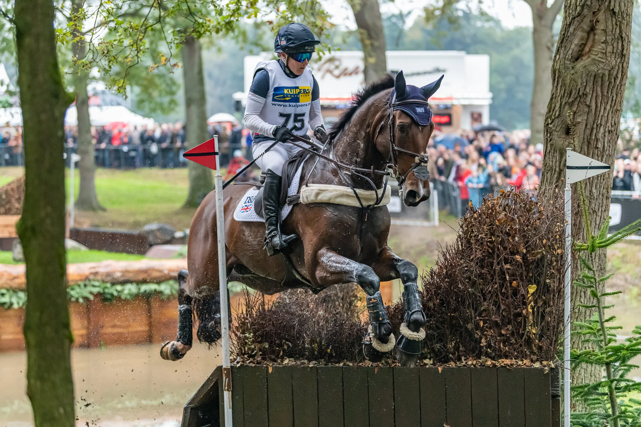 Carey_October 12, 2019_DSC_5297.JPG