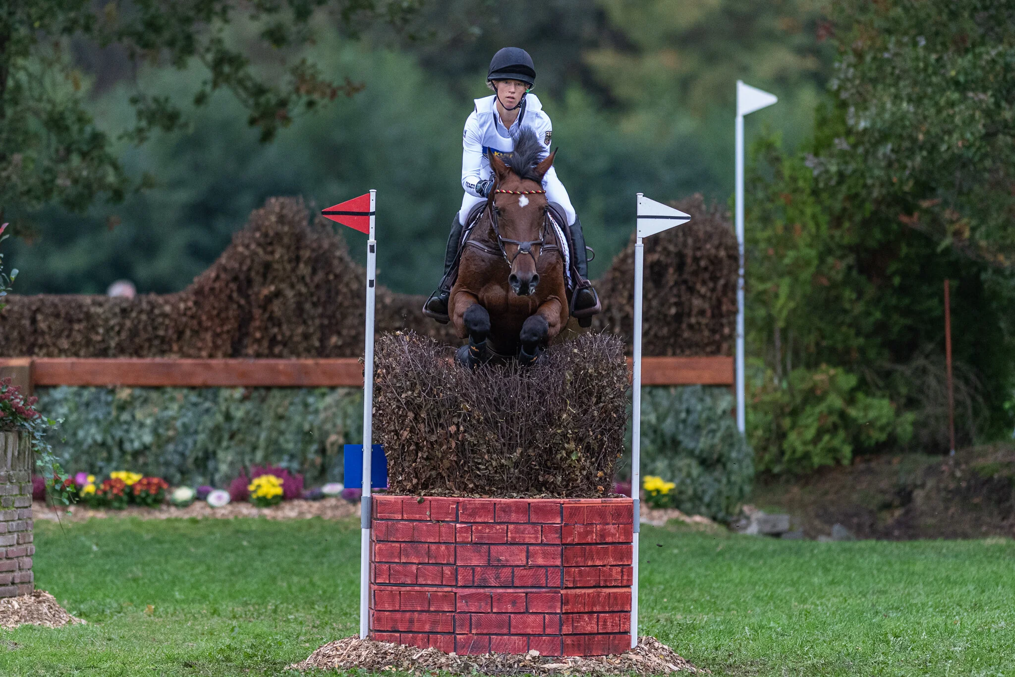 Carey_October 12, 2019_DSC_5493A.JPG