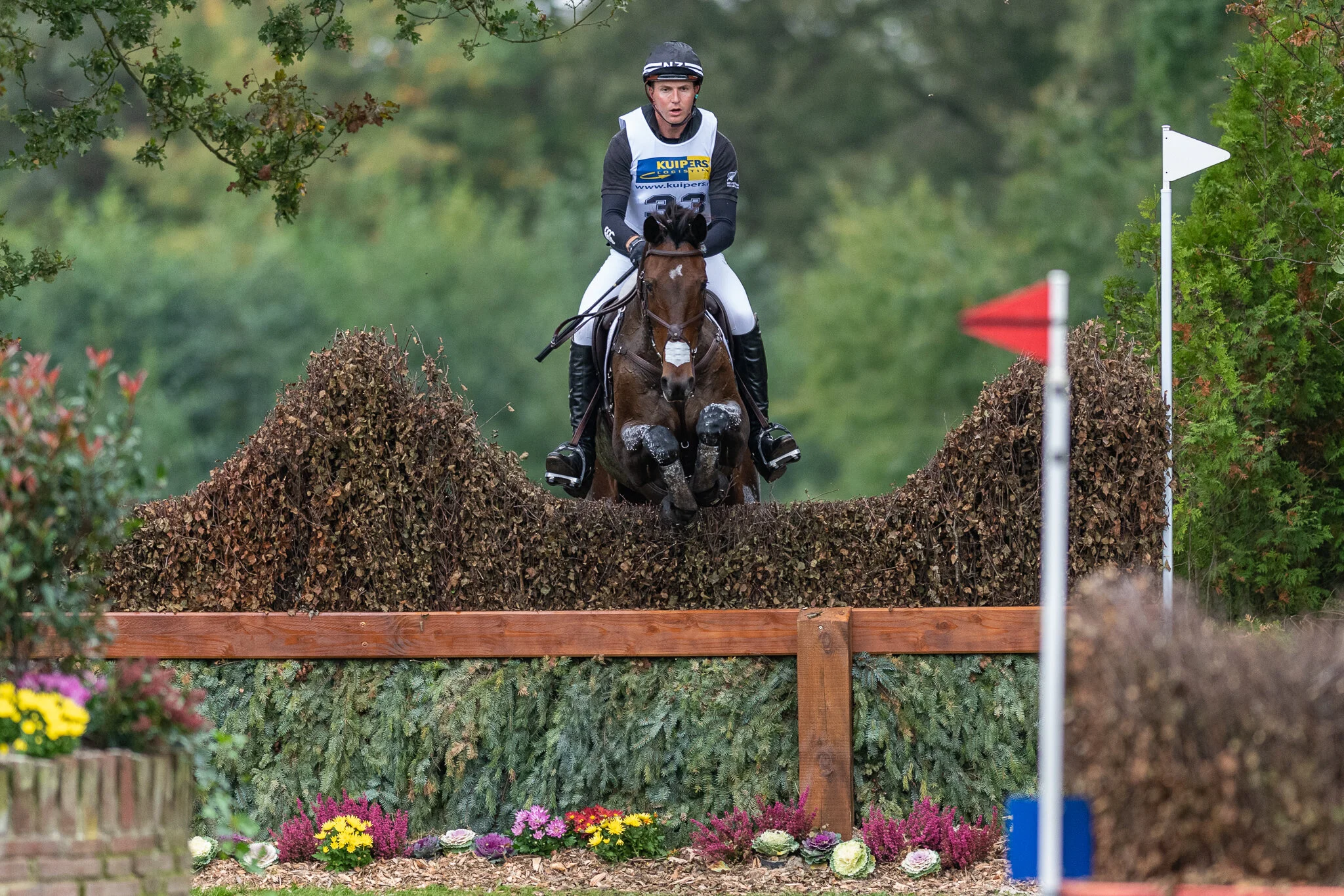 Carey_October 12, 2019_DSC_5610A.JPG