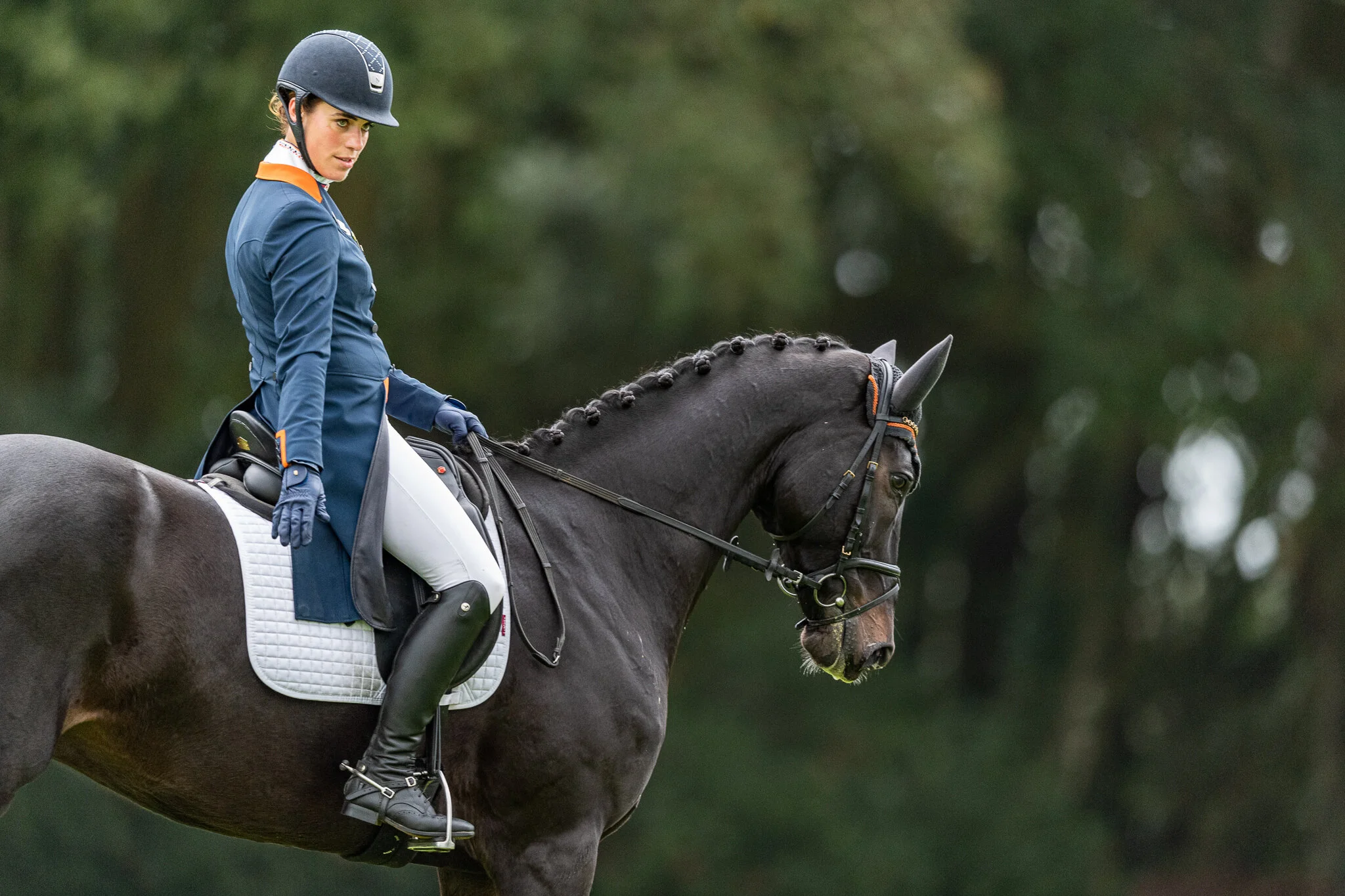 Carey_October 25, 2019_DSC_1735.JPG