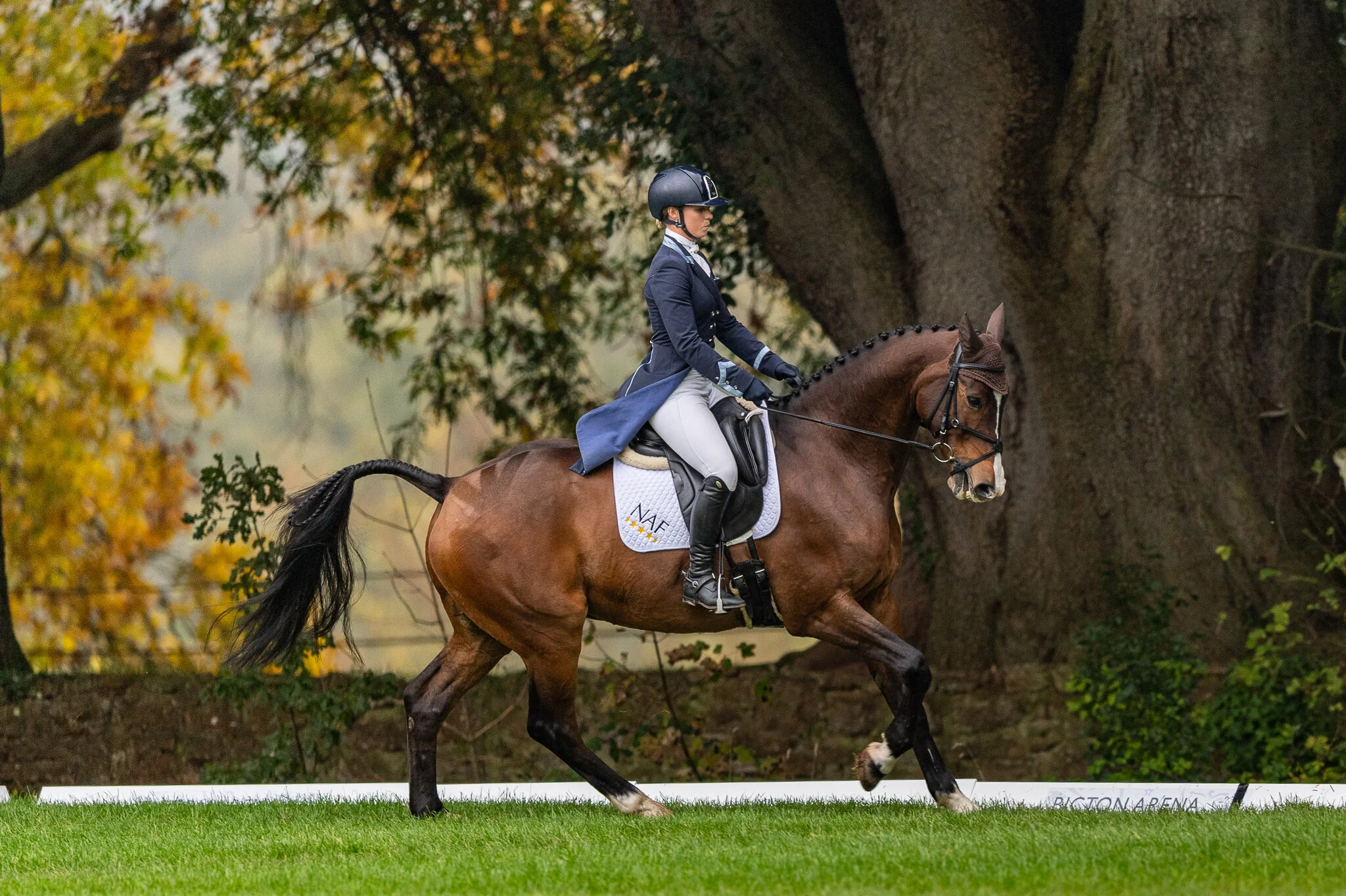 Carey_October 25, 2019_DSC_1778.JPG