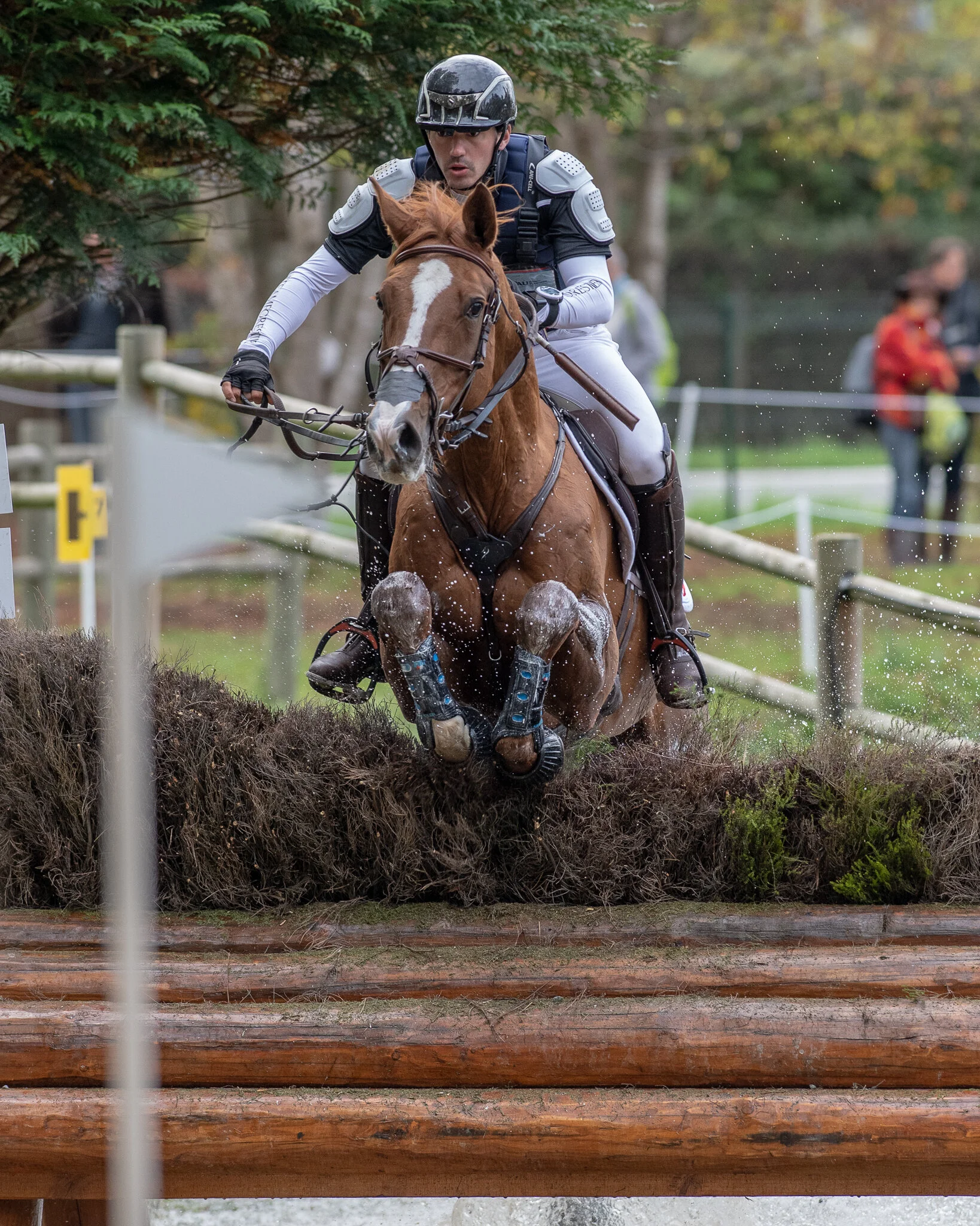 Carey_October 27, 2018_DSC_9597.JPG