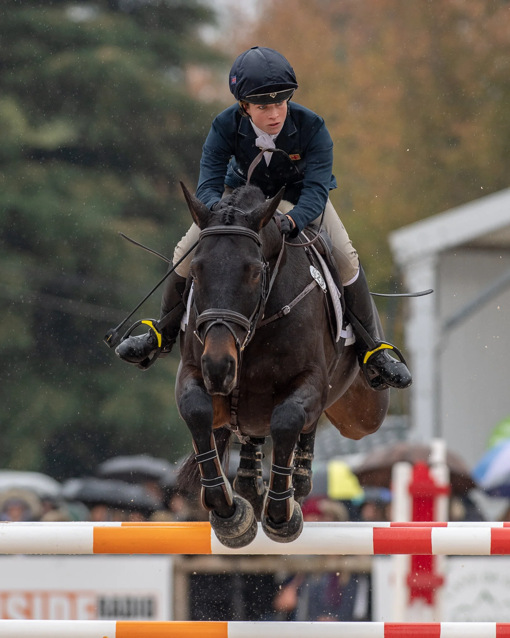 Carey_October 28, 2018_DSC_0281.JPG