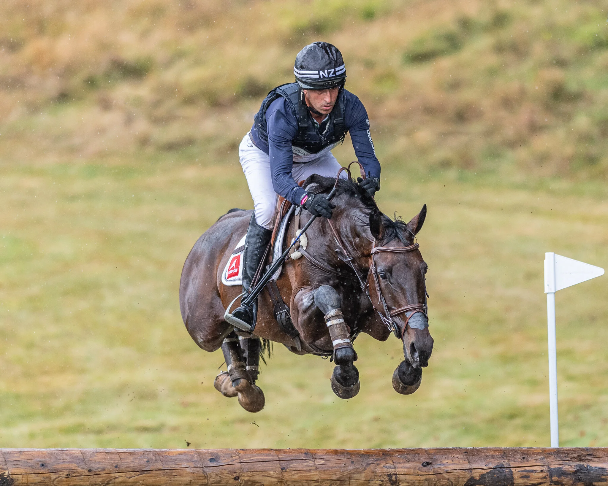 Carey_September 22, 2019_DSC_6764.JPG