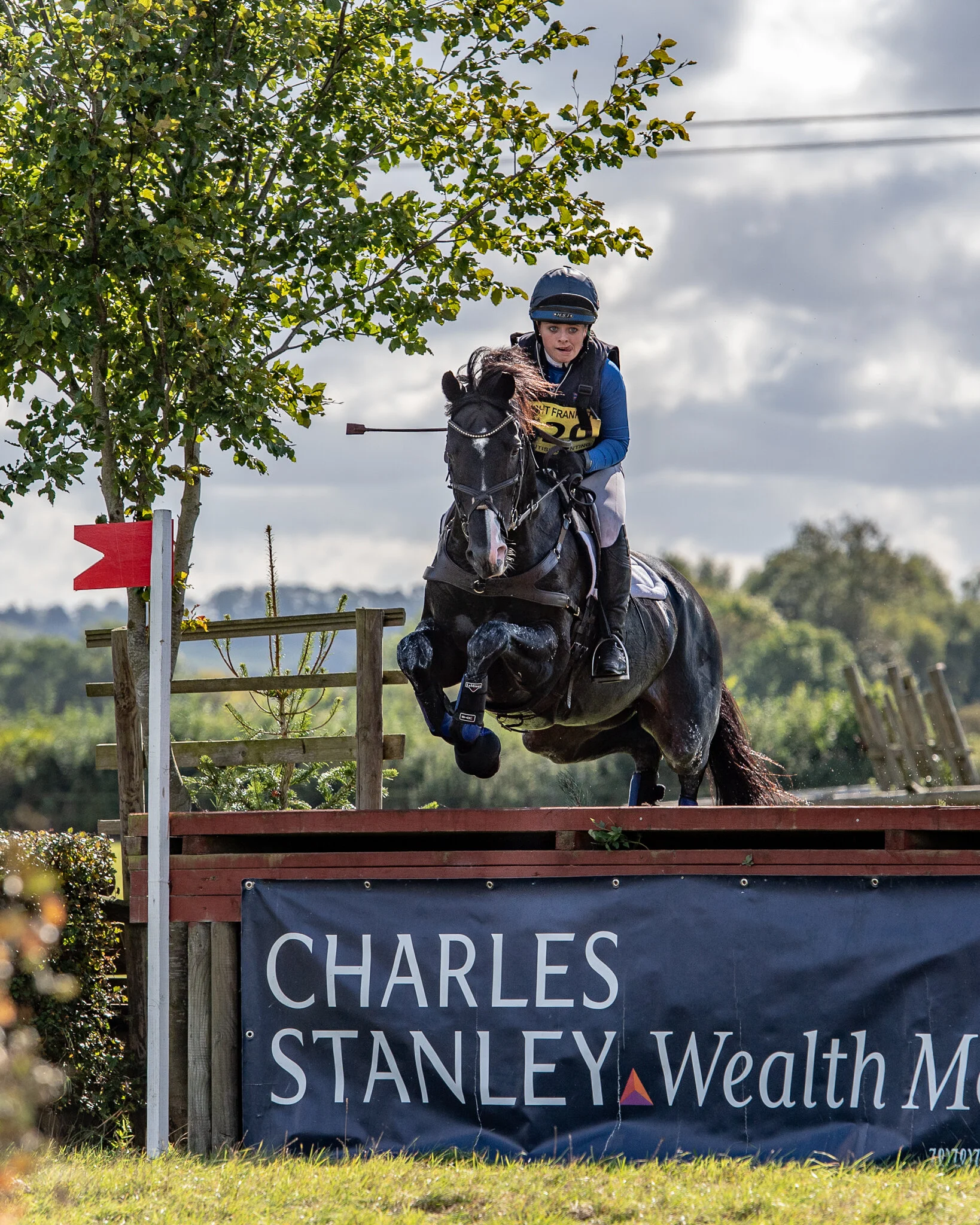 Carey_September 28, 2018_DSC_0545.JPG