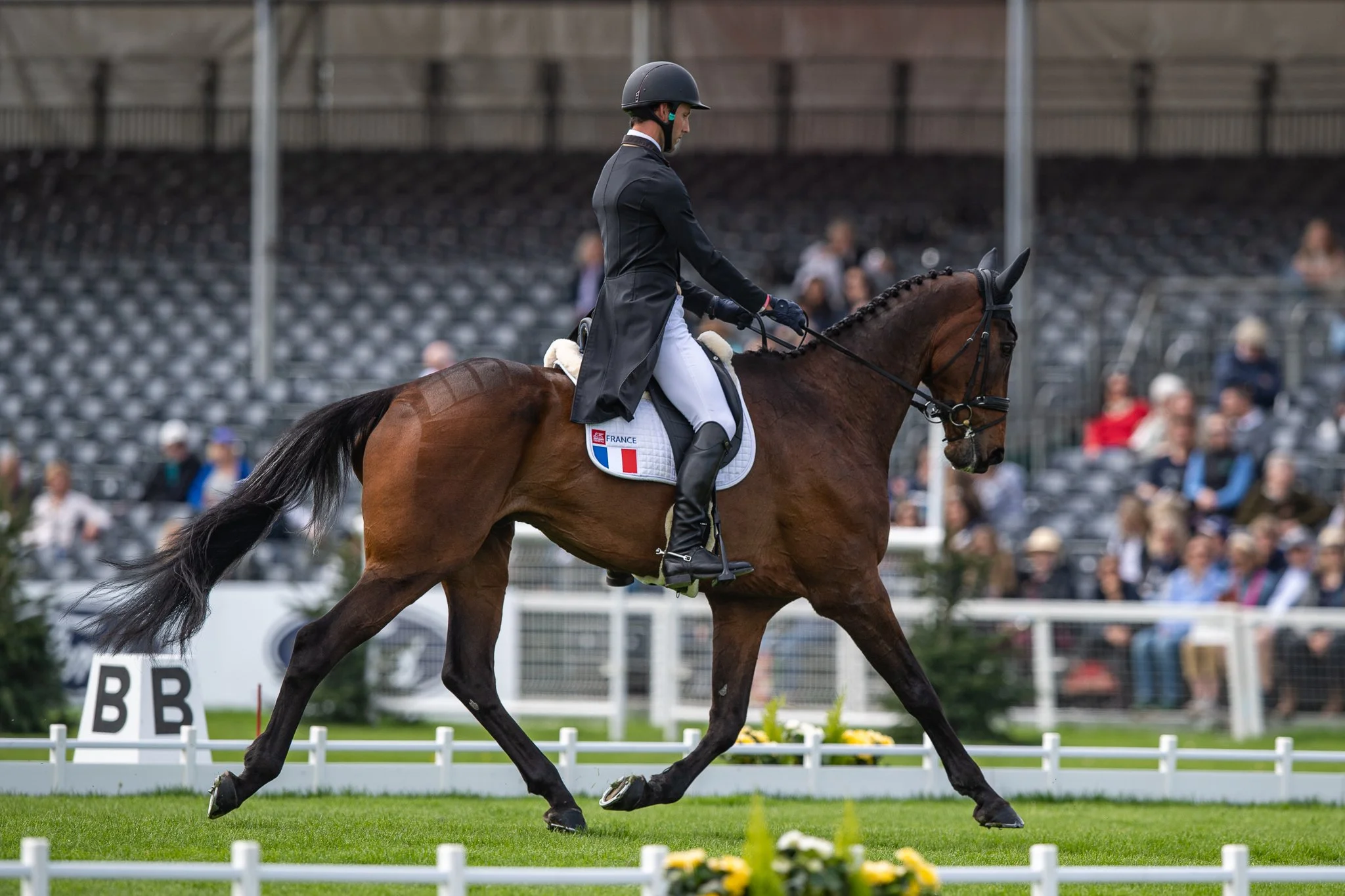 Carey_May 06, 2022-3456.jpg