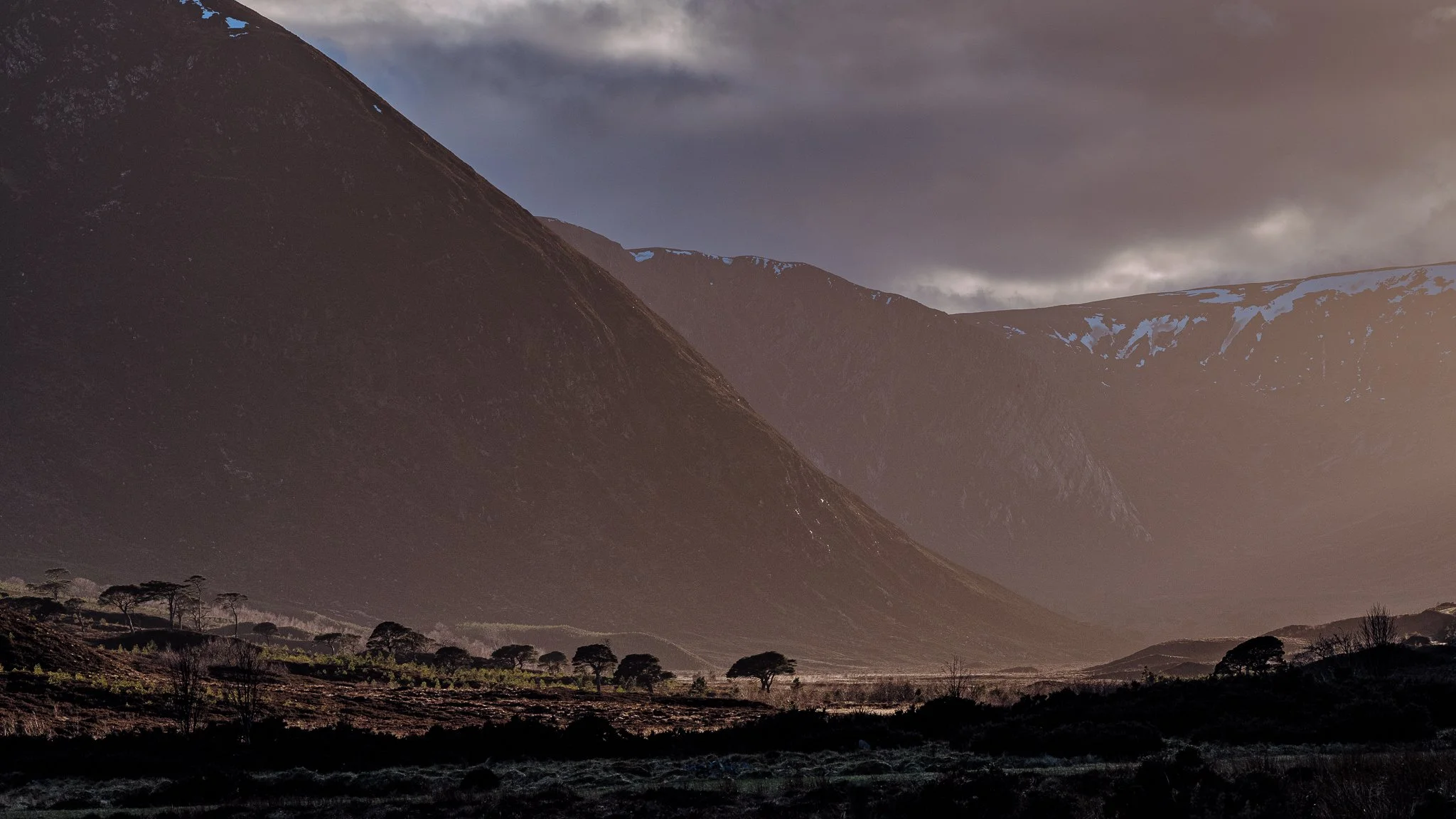 Carey_March 30, 2023_DSCF3463.jpg