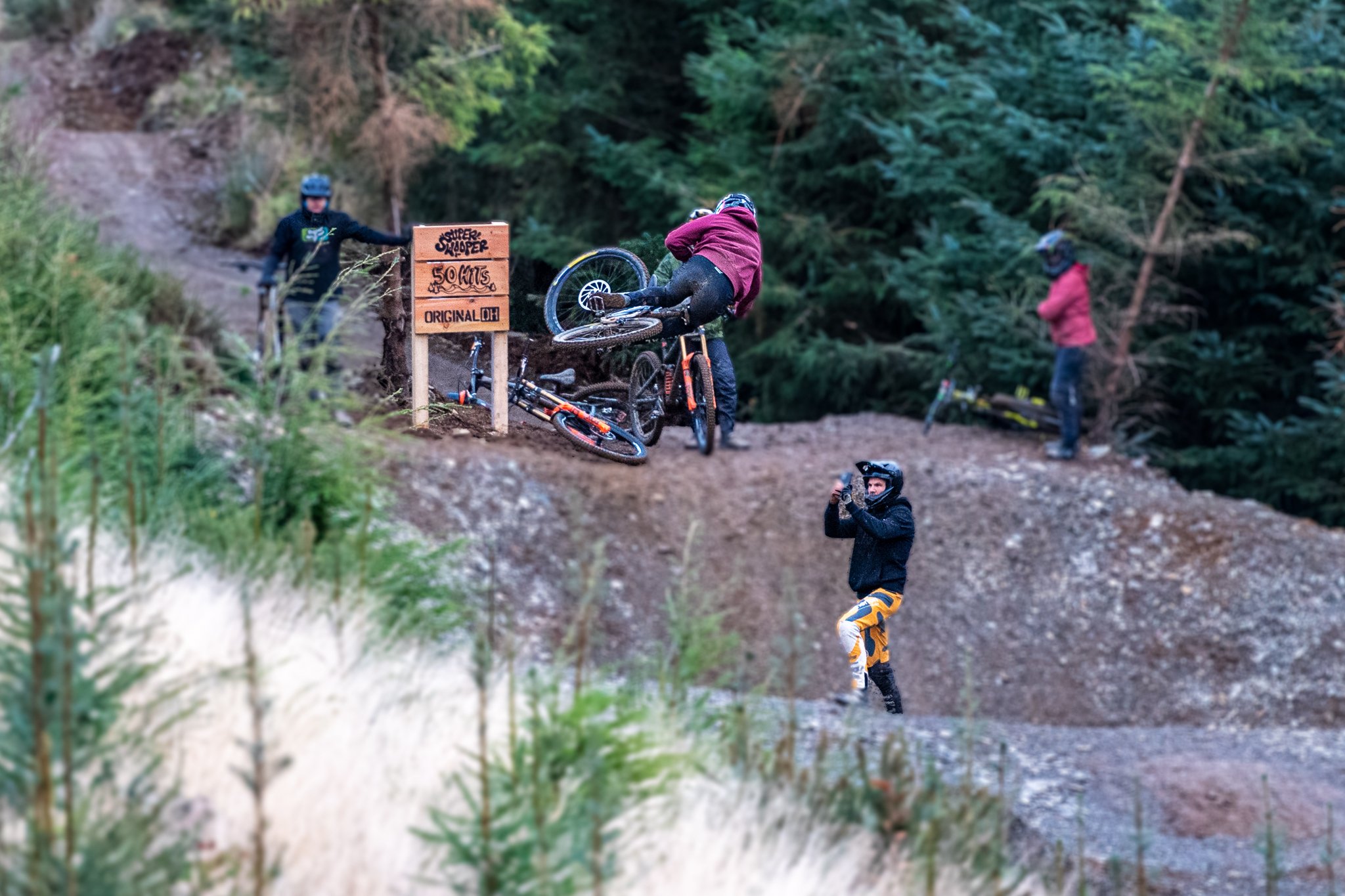 Carey_December 08, 2022--3.jpg