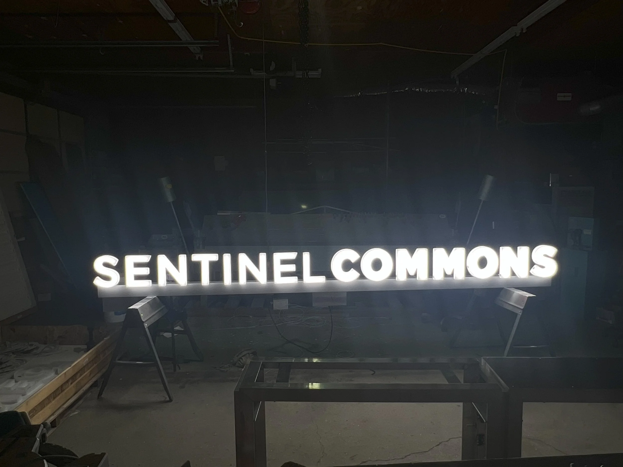 sentinel.jpg