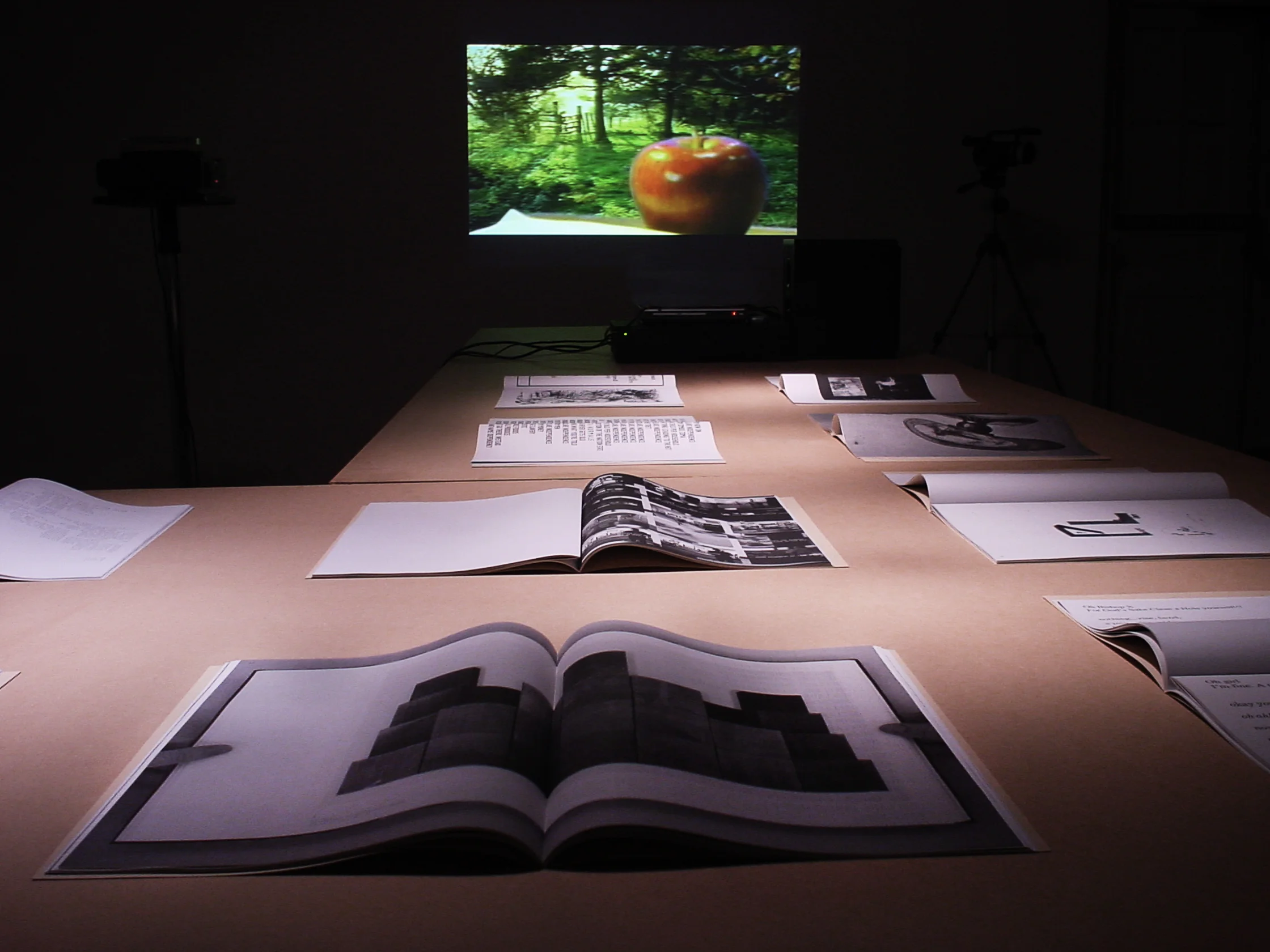 CERITH WYN EVANS Degrees of Blindness, 1987 With Michael Clark, Leigh Bowery, Tilda Swinton. 19 mins