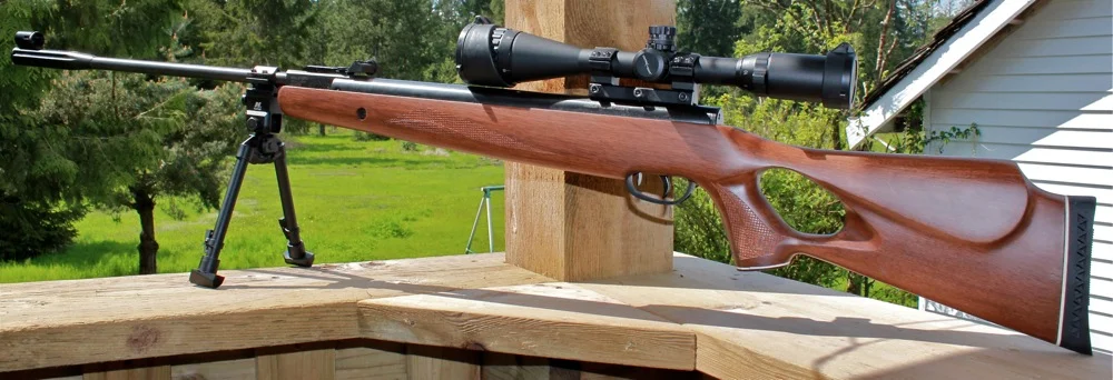 Benjamin Sheridan Super Streak - .22 Cal  - Break Barrel Pellet - Pest Removal