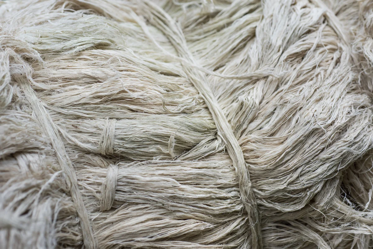 19. Fibre Bundle. Photo by Jacob Maentz.jpg