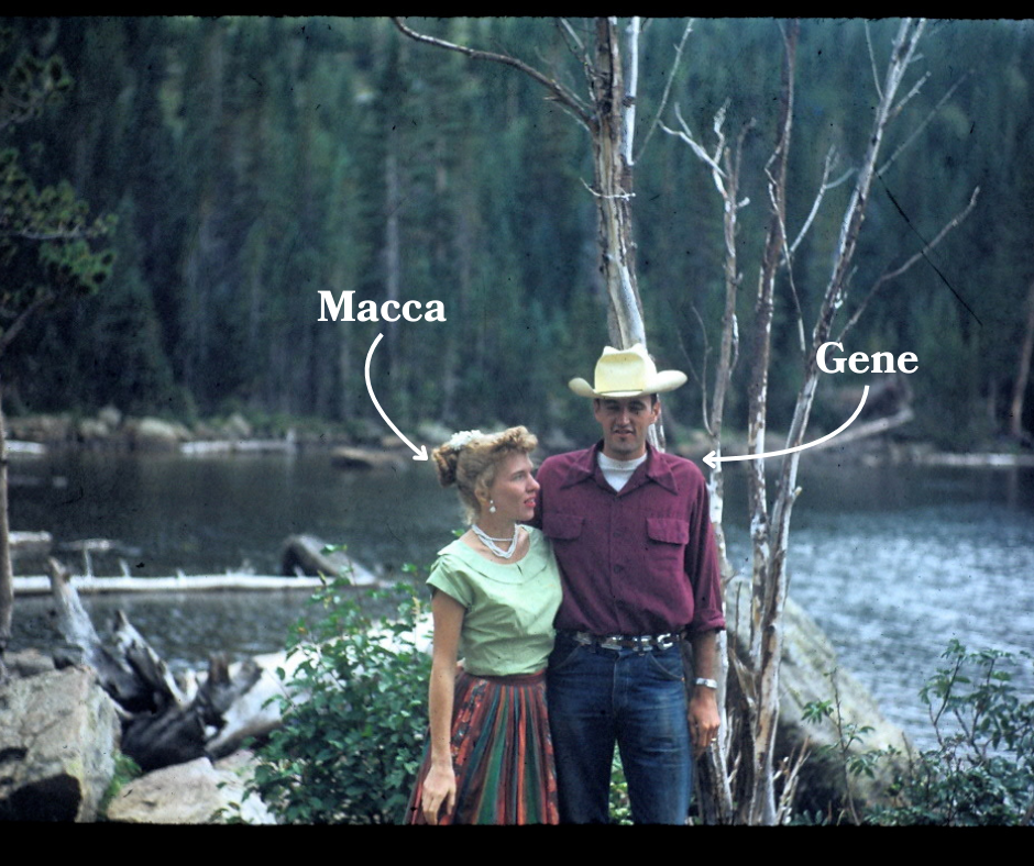 Welcome to Macca Gene Creamery — Macca Gene Organic Creamery