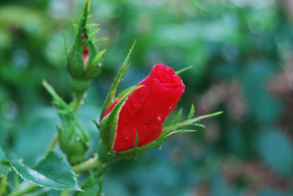 DSC_0061.JPG.jpeg