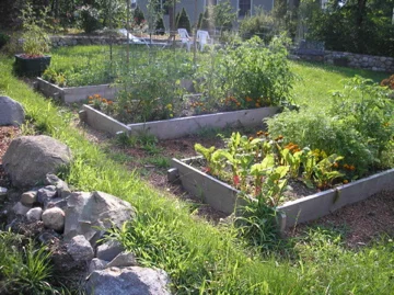 RecoveryEatingDisordersGarden.jpg