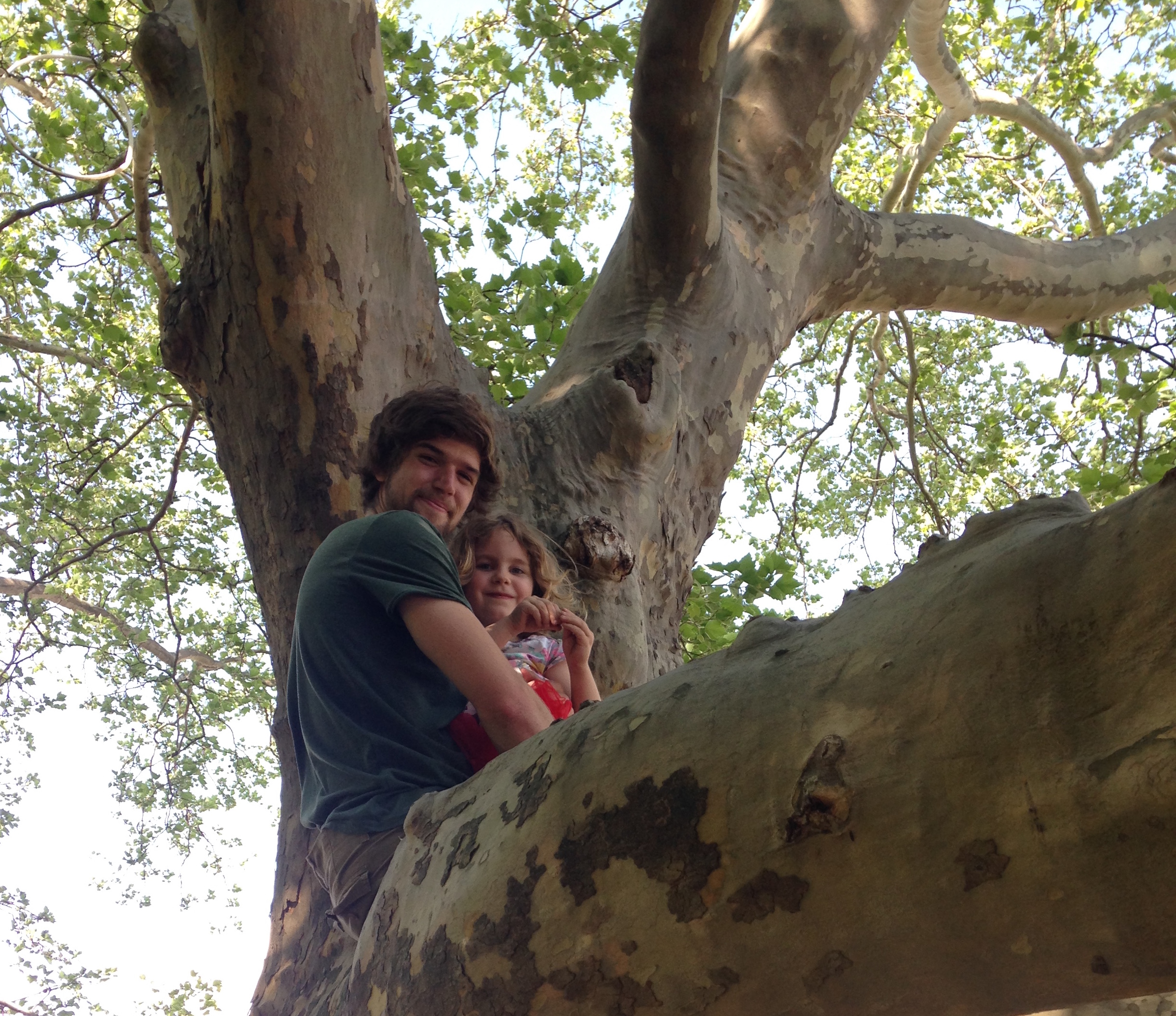 Mark and Hazel in the sycamore tree