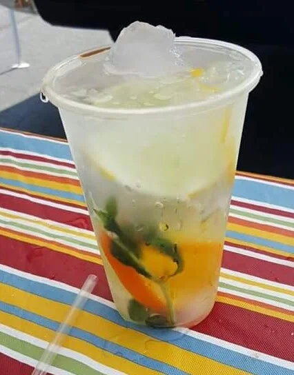 TSL Cuke Water is Made from ingredients we grow on our micro farm, that hood ranch. as well as mini white cukes,  proceeds go to support our flava it forward campaign. The combo of your tips &amp; water purchases, go a long way to fill the gap when …