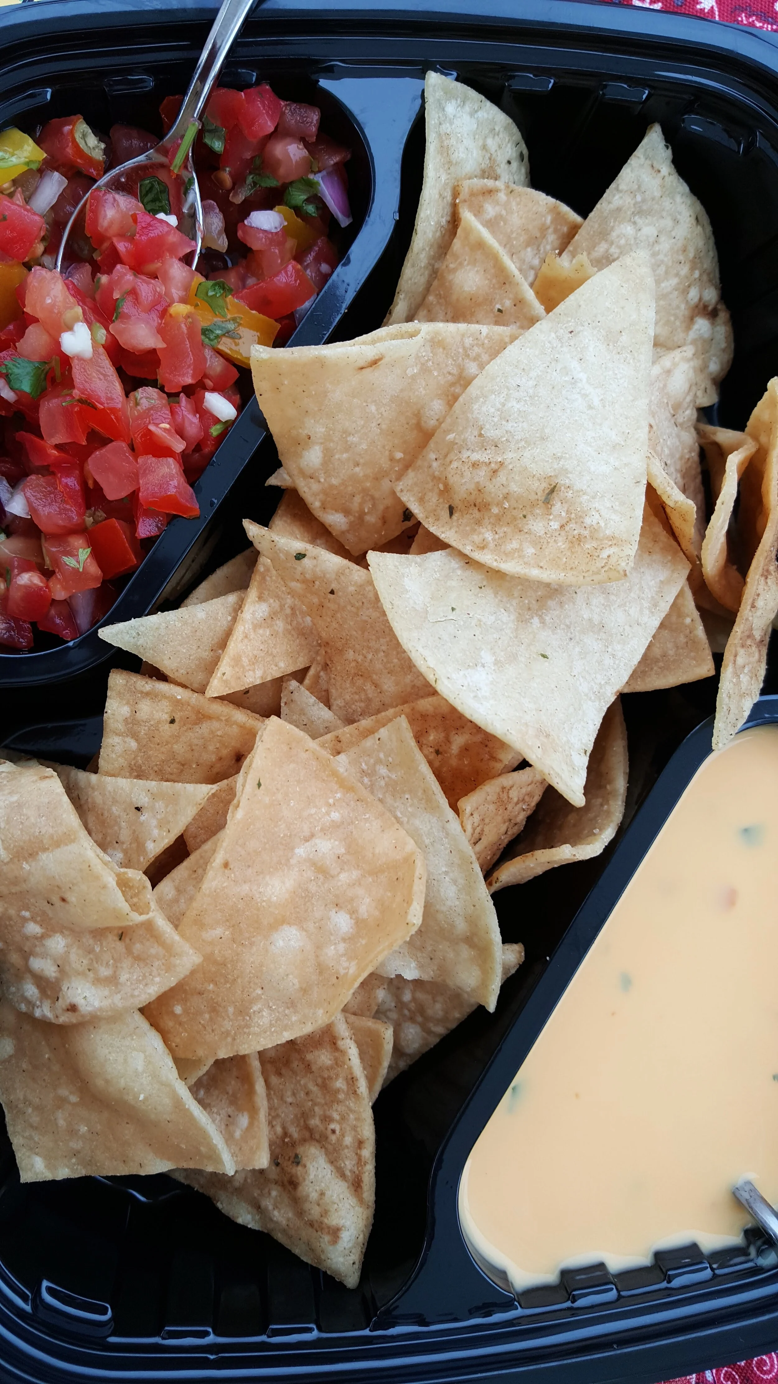 UG salsa chips.jpg