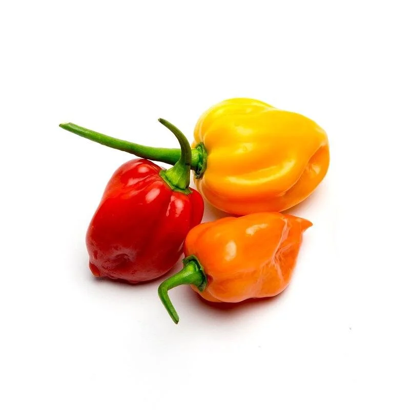 habanero-orange-pepper.jpg