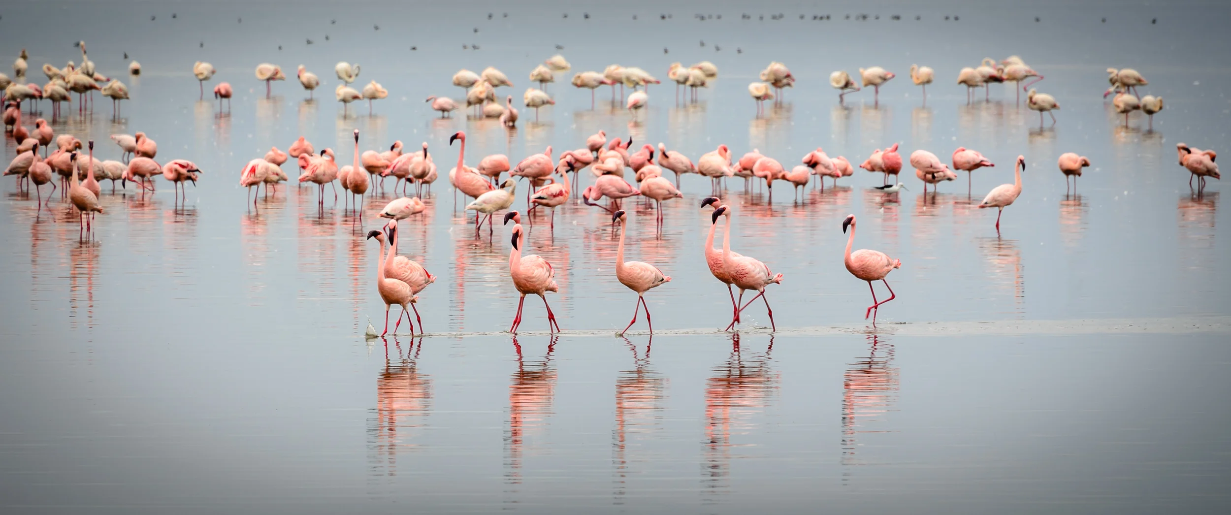 Kenya 2011-701-Edit-2-Edit.jpg