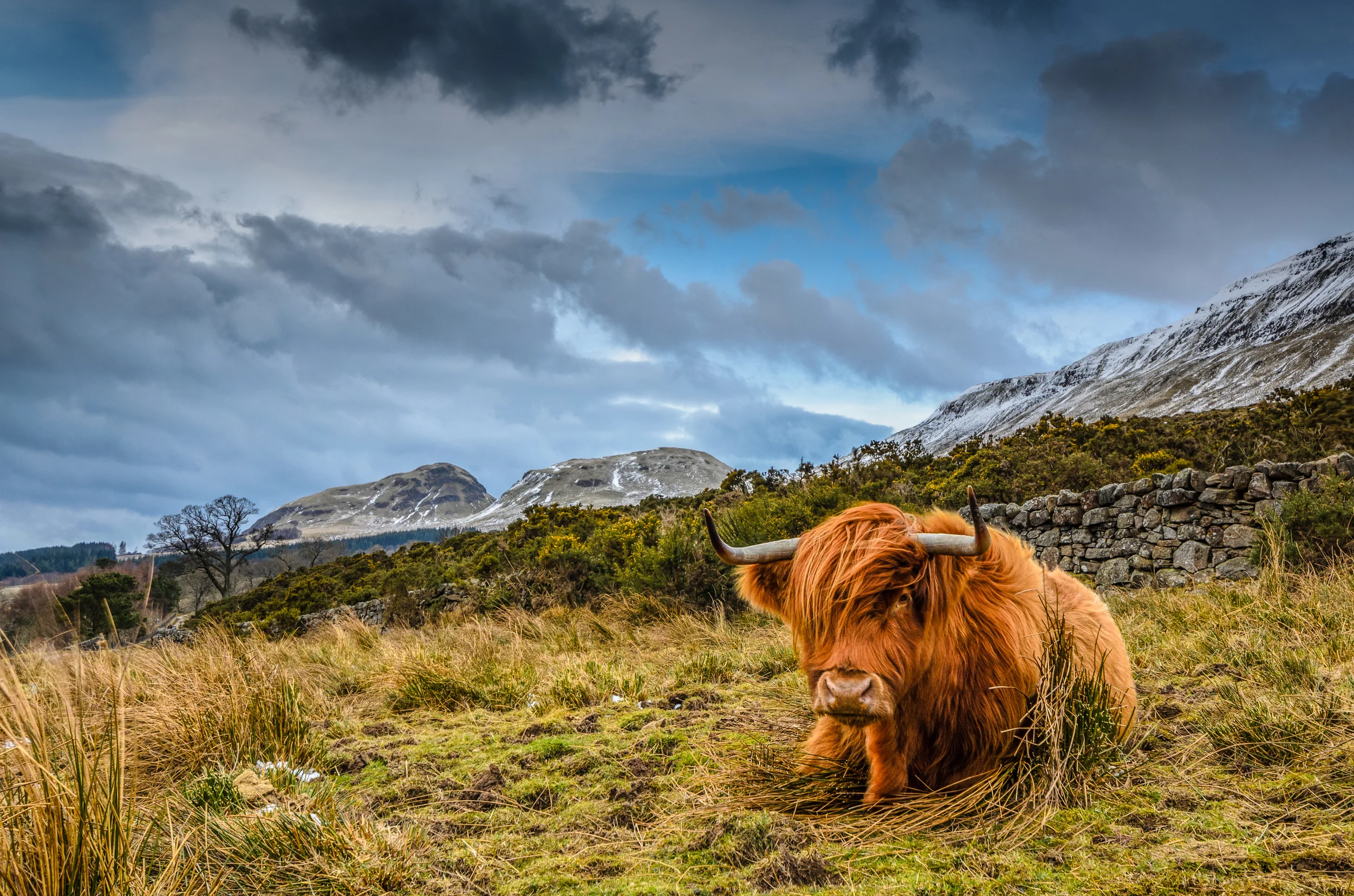 Blanefield 2013-215-Edit-Edit-2.jpg