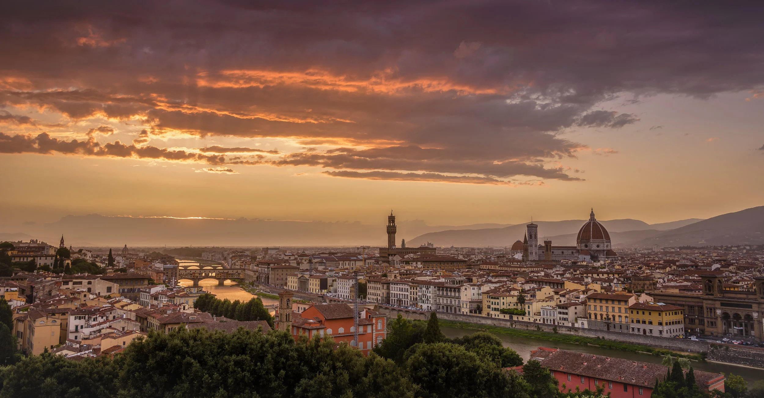 FLORENCE.jpg