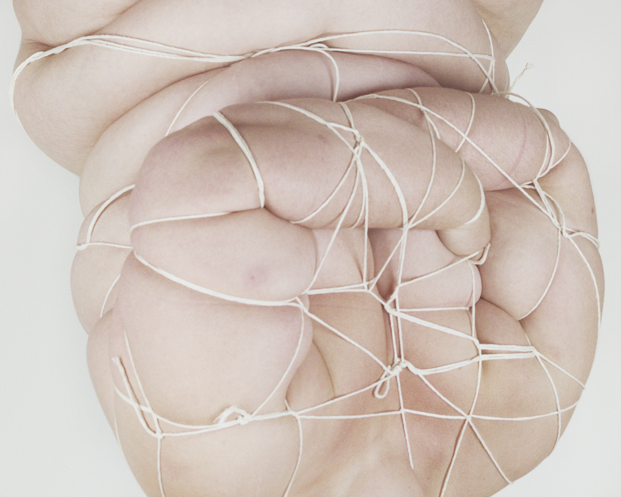 Viscerality, #6, 2013 Digital Archival Print from 4 x 5 photograph 20" x 30"