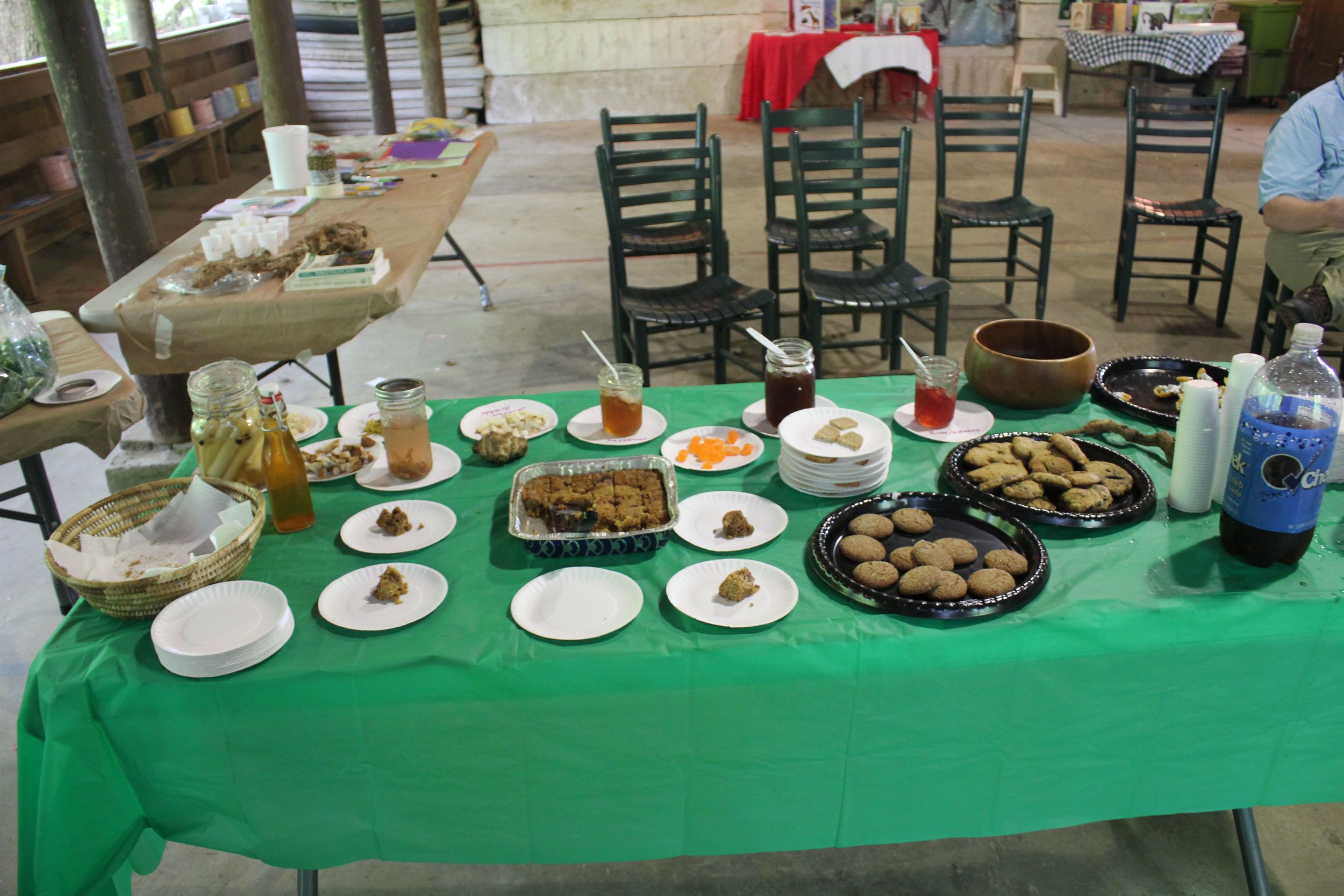 young naturalist workshop.jpg