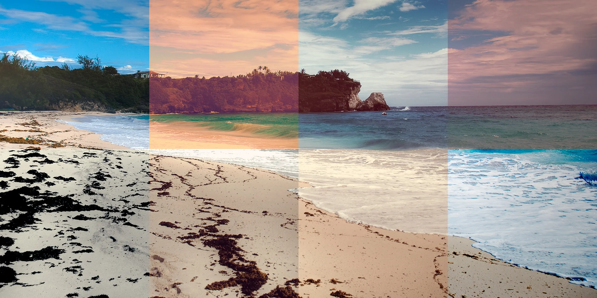 The complete guide to Instagram companion apps.jpg