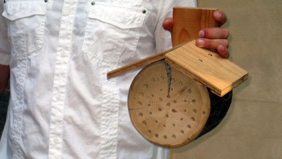 Bee house demo