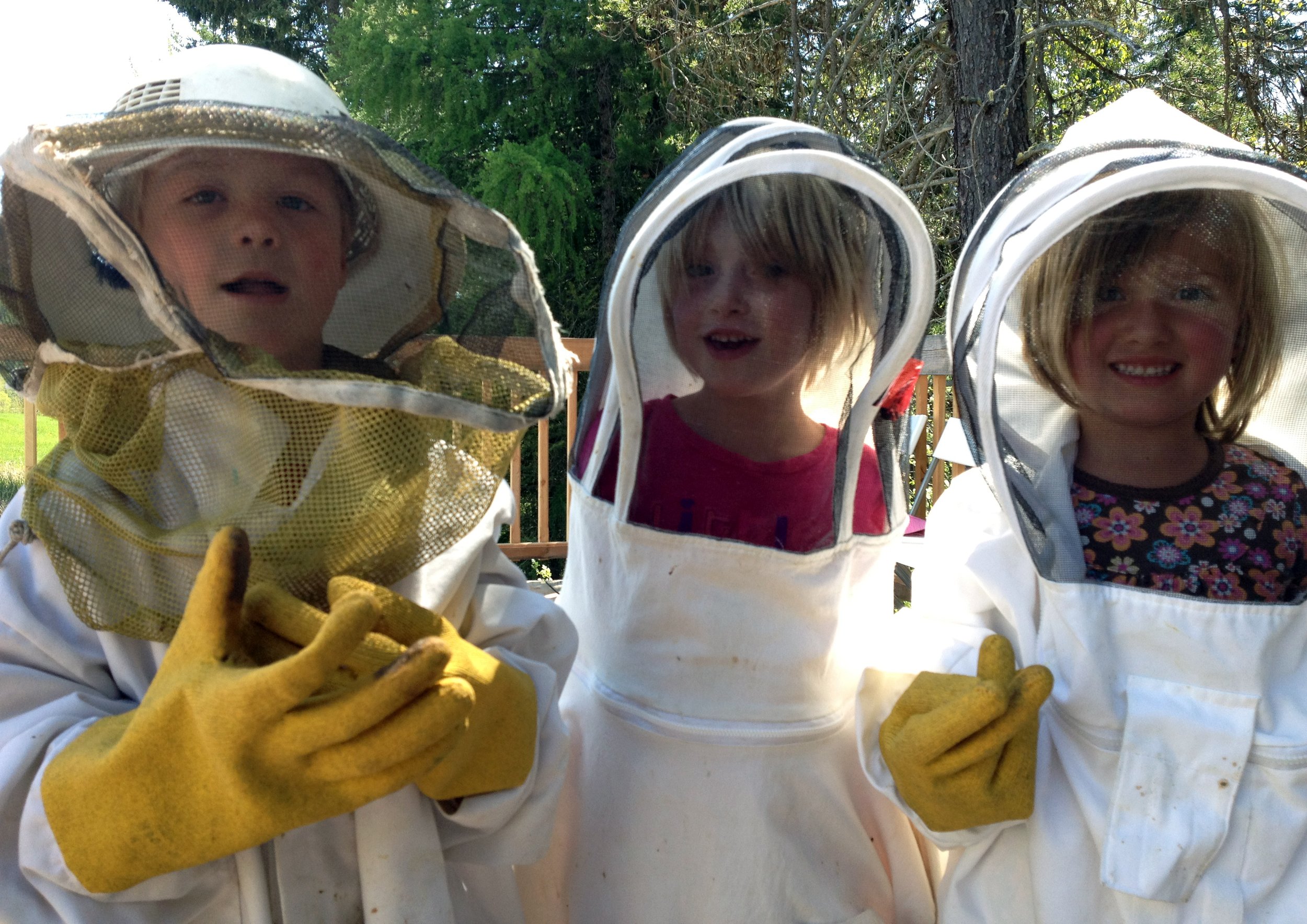 3 beekeepers cr.jpg