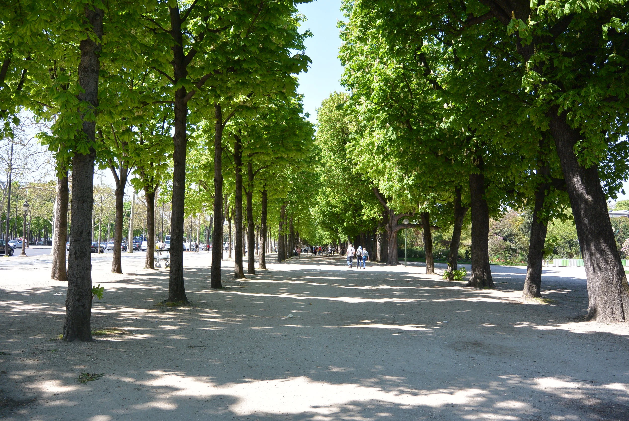 ​Everything is so pretty when it is sunny out.